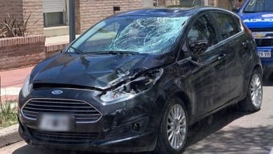 IMAGEN 3 3 - Diario Resumen de la región