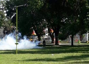 fumigación alacranes