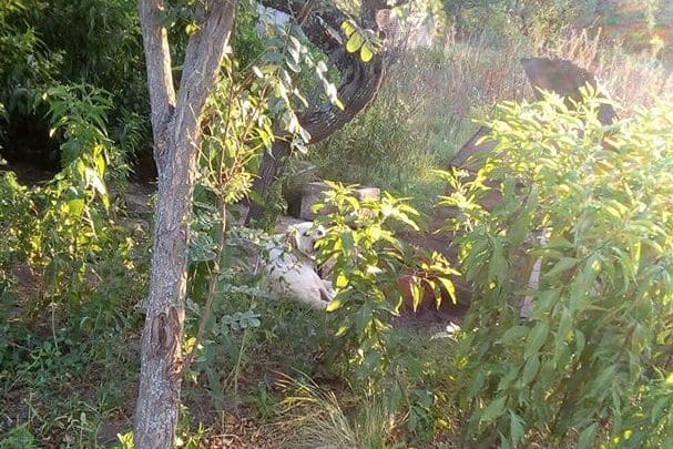 87974936 2825734384174254 6006777488787636224 o - Diario Resumen de la región