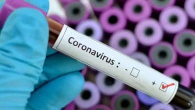 ARCHI 719910 - Diario Resumen de la región