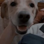 WhatsApp Image 2020 03 21 at 11.51.08 e1584804001205 - Diario Resumen de la región