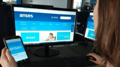 anses - Diario Resumen de la región