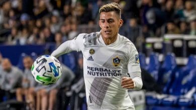 PAVON1 - Diario Resumen de la región