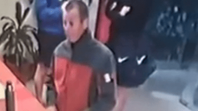 proveedor - Diario Resumen de la región