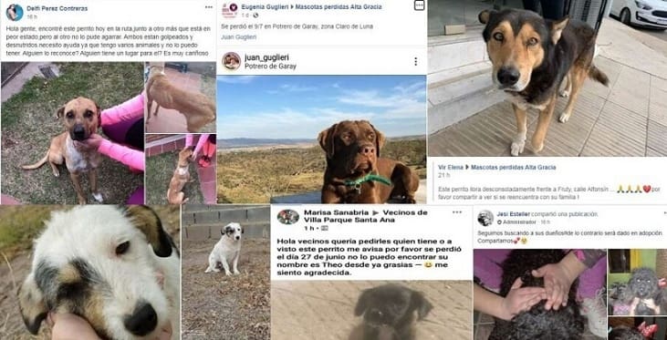 Presentación1 - Diario Resumen de la región