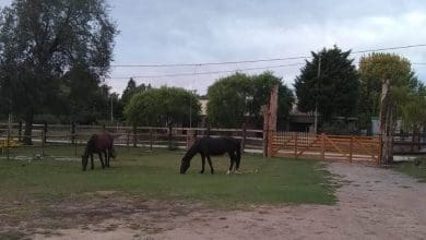 WhatsApp Image 2020 07 06 at 5.56.24 PM e1594069054469 - Diario Resumen de la región