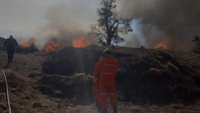 WhatsApp Image 2020 07 10 at 19.26.55 e1594420338336 - Diario Resumen de la región