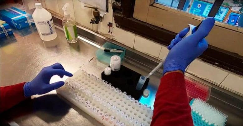 coronavirus hisopo - Diario Resumen de la región