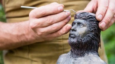 subasta - Diario Resumen de la región