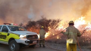 WhatsApp Image 2020 08 27 at 12.27.21 e1598619485558 - Diario Resumen de la región