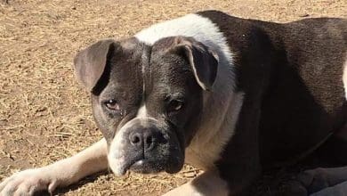 WhatsApp Image 2020 09 12 at 3.42.35 PM e1599936308666 - Diario Resumen de la región