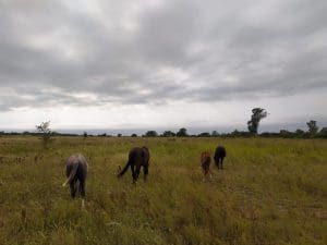 WhatsApp Image 2020 09 20 at 13.20.34 - Diario Resumen de la región