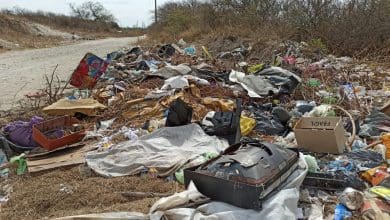 baasura juan cruz papp 2 - Diario Resumen de la región
