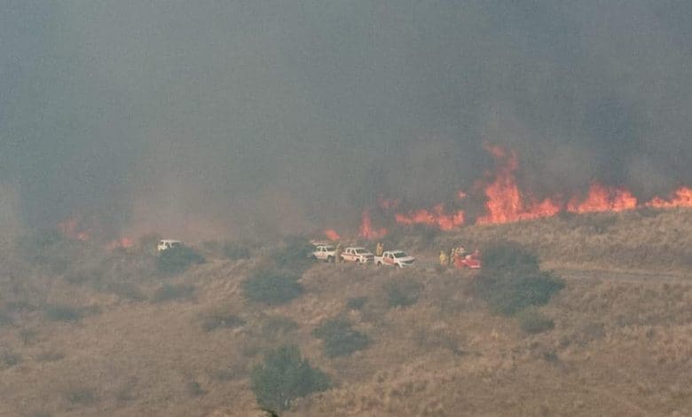 incendios - Diario Resumen de la región
