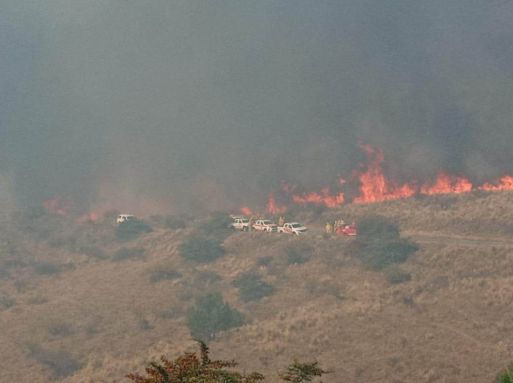 incendios - Diario Resumen de la región