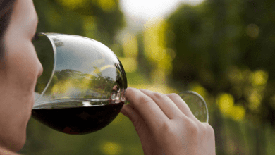 vino - Diario Resumen de la región