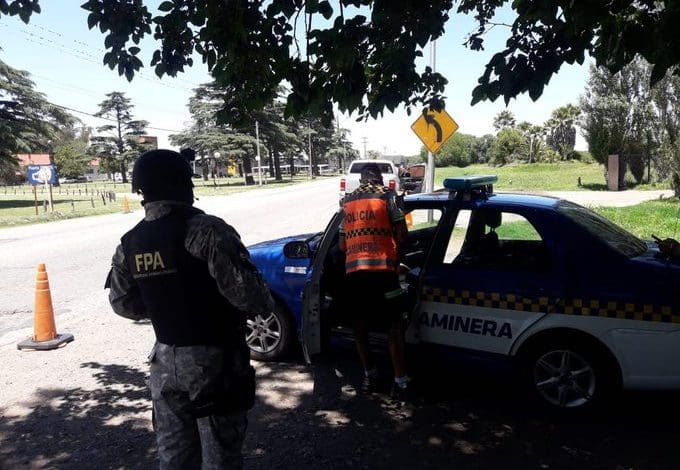 cedros - Diario Resumen de la región