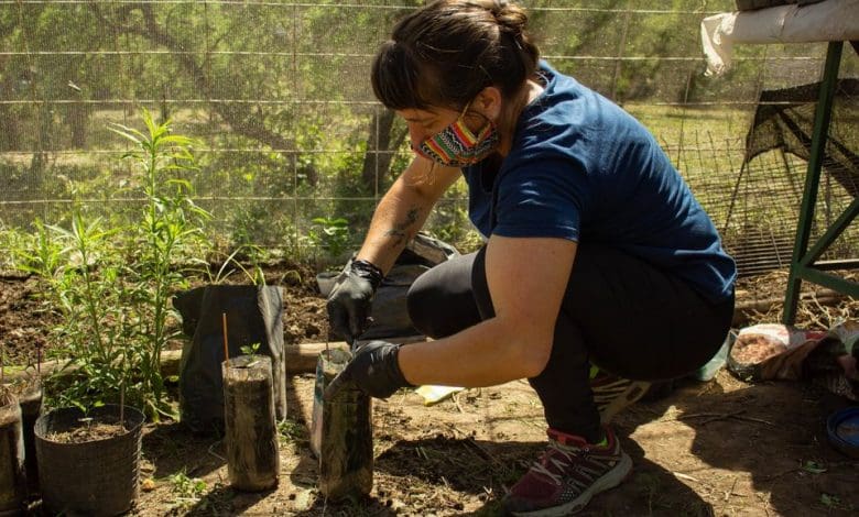 123791174 183001990026666 3545126683959614588 o - Diario Resumen de la región