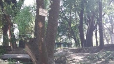 WhatsApp Image 2020 11 02 at 10.50.23 AM e1604434878238 - Diario Resumen de la región