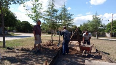 WhatsApp Image 2020 11 11 at 12.03.35 PM e1605124505206 - Diario Resumen de la región