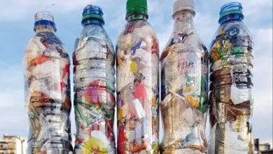 img 20190502 223238 257 scaled 1 scaled e1604759290240 - Diario Resumen de la región