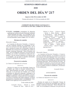 127095686 193389235654608 3135664176955459080 n - Diario Resumen de la región