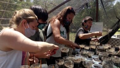 127583917 191133255880206 7212609627060959837 o e1607019478559 - Diario Resumen de la región