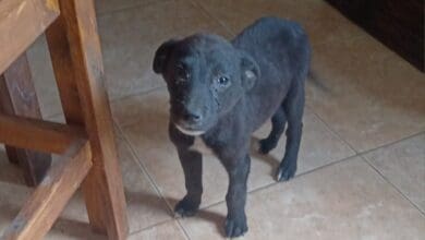 131032920 3718905611481724 8315624347827192876 o e1607634074127 - Diario Resumen de la región