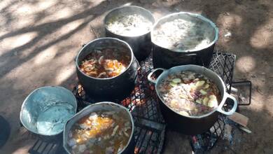 32BD0811 A312 4C93 9BC2 AEC015754B10 - Diario Resumen de la región