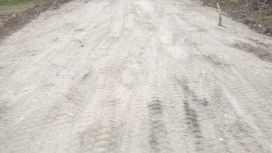 WhatsApp Image 2020 12 09 at 4.59.19 PM - Diario Resumen de la región