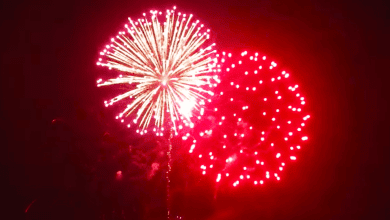 fuegos artificiales - Diario Resumen de la región