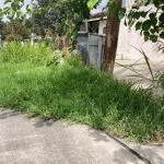 WhatsApp Image 2021 01 12 at 12.22.41 - Diario Resumen de la región