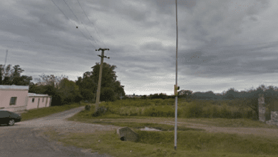 los olivares 1 - Diario Resumen de la región