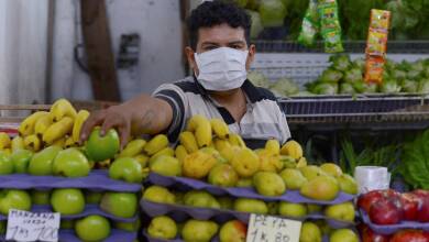 mercado - Diario Resumen de la región