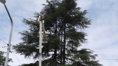 WhatsApp Image 2021 02 03 at 19.23.03 1 e1612448925522 - Diario Resumen de la región