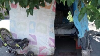 casita e1613056240524 - Diario Resumen de la región