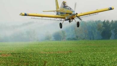 fumigaciones 3 - Diario Resumen de la región