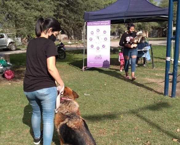 campana vacunacion antirrabica paravachasca E - Diario Resumen de la región