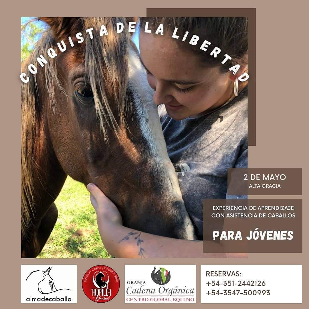 tropilla en libertad - Diario Resumen de la región