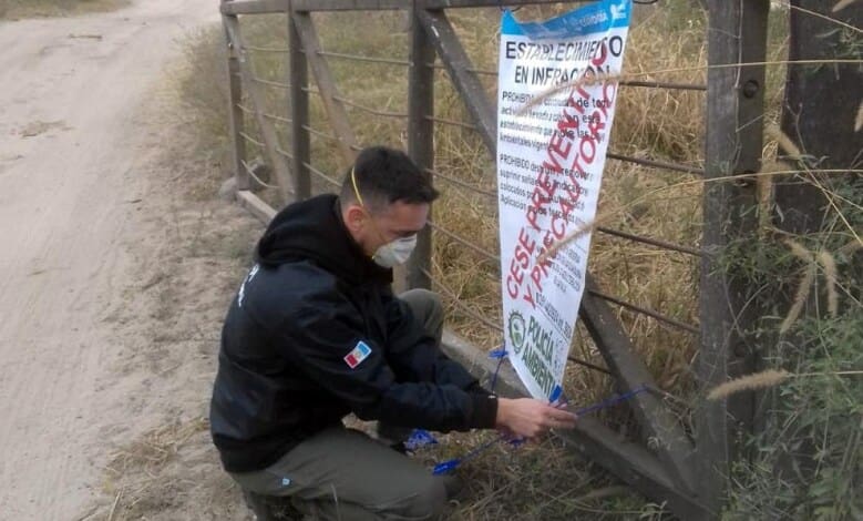 multimedia.normal.8464d1e705db79c6.63616e7465726120636c61757375726120627920476f62206465204362615f6e6f726d616c2e6a7067 - Diario Resumen de la región