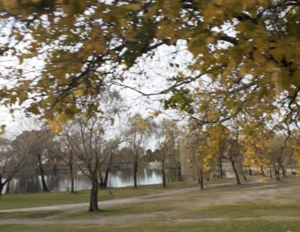 20210613 085035 - Diario Resumen de la región