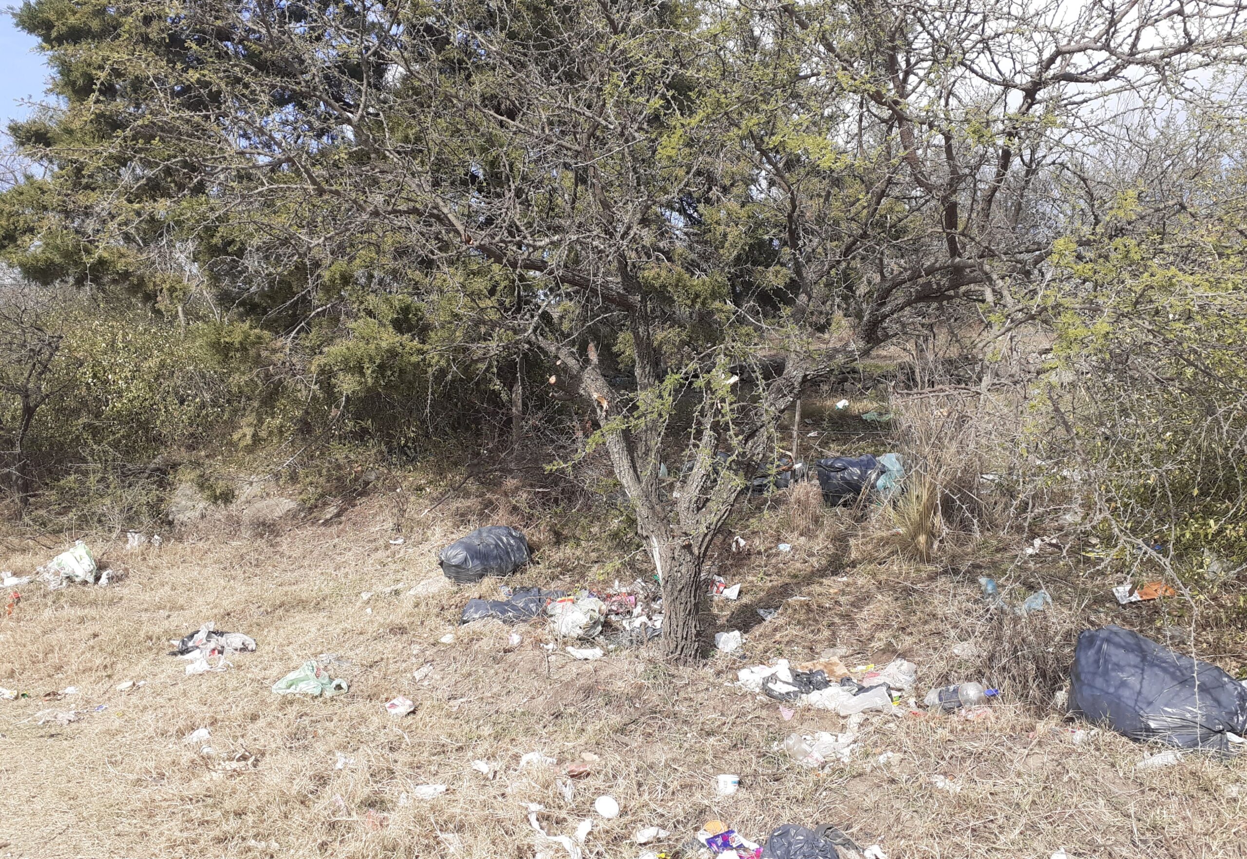 20210715 095650 scaled - Diario Resumen de la región