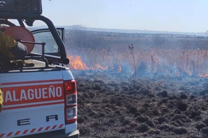 20210811 233714 - Diario Resumen de la región