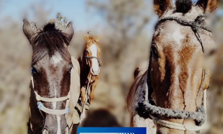 20210822 103733 - Diario Resumen de la región