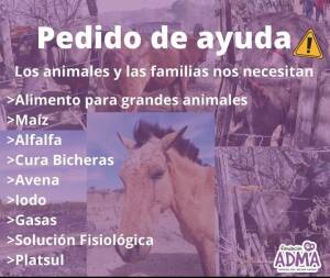 WhatsApp Image 2021 08 20 at 18.41.24 - Diario Resumen de la región