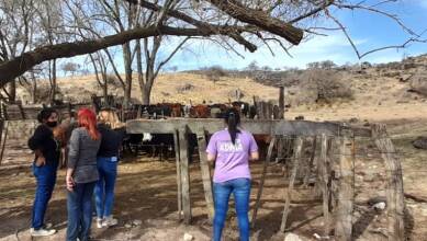 adma animales quemados incendio - Diario Resumen de la región