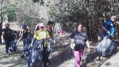 guardarroyos recoleccion 2 - Diario Resumen de la región