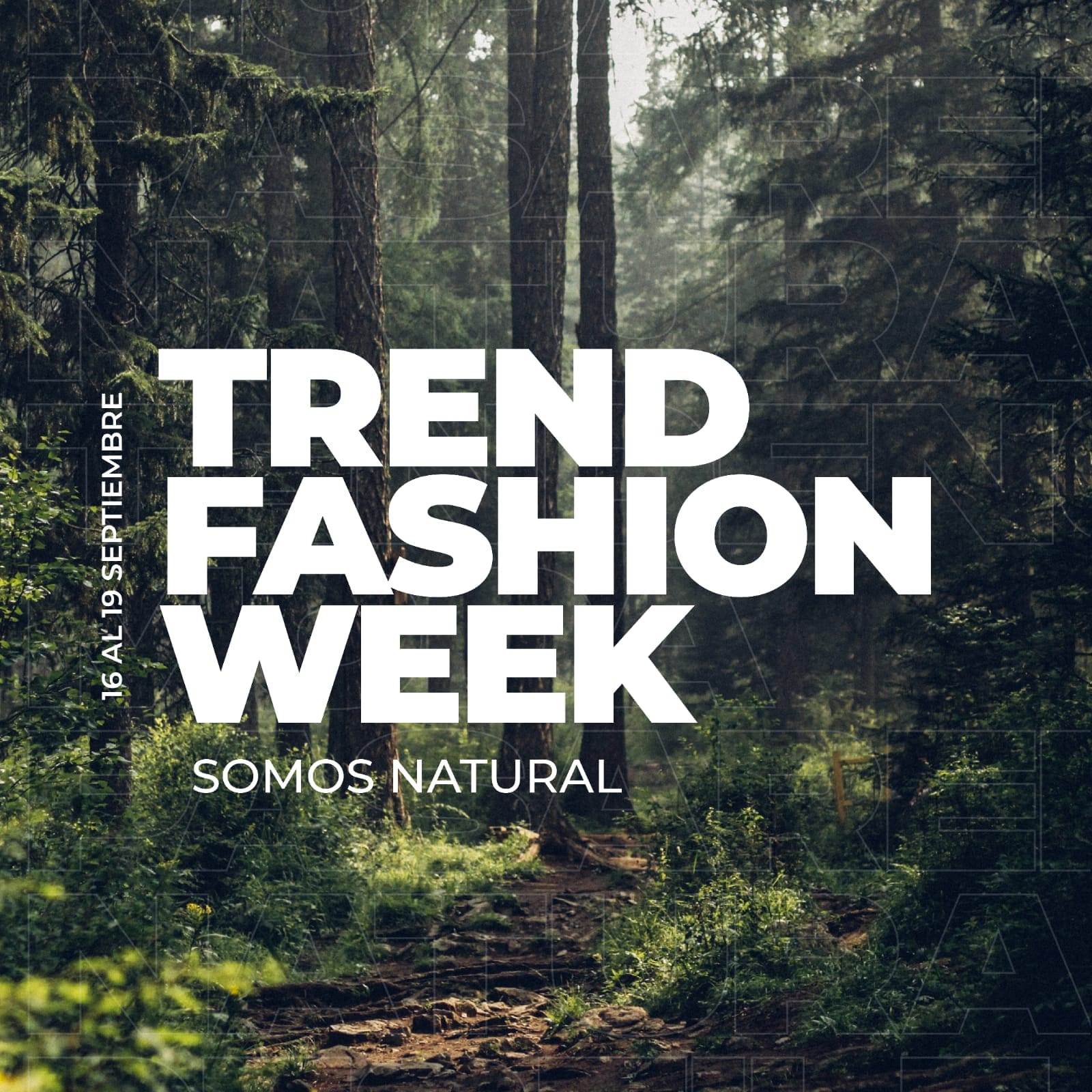 semana de la moda - Diario Resumen de la región