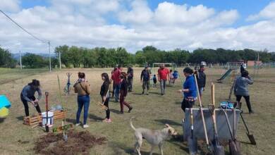 anisacate forestacion - Diario Resumen de la región