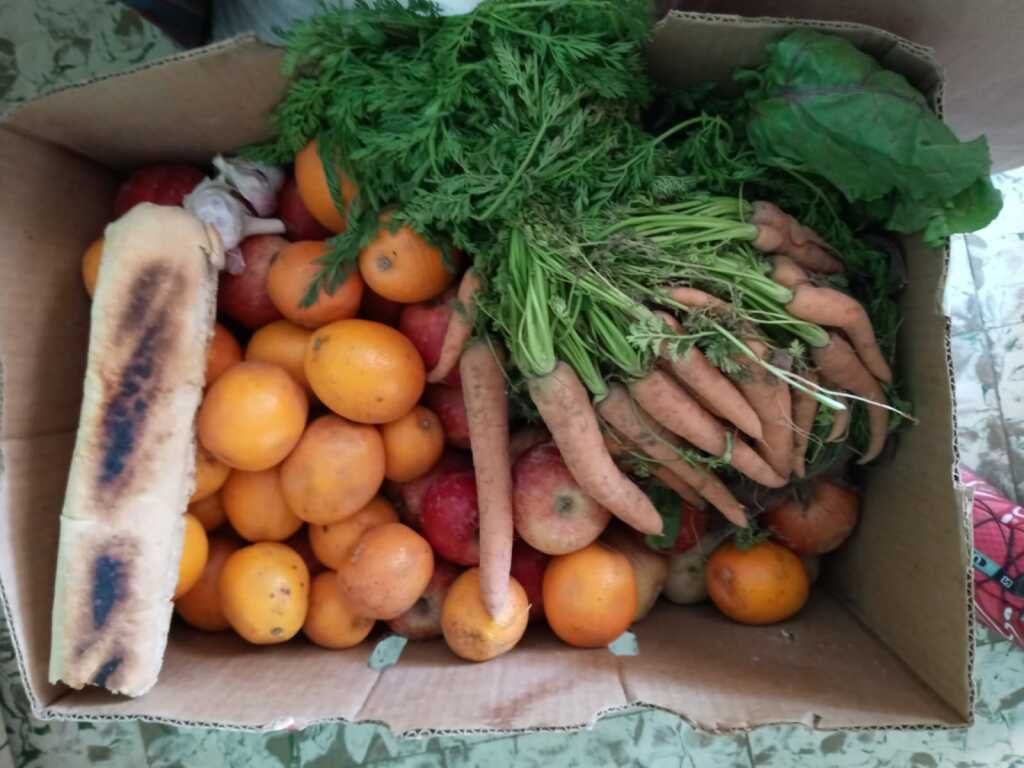 asamblea paravachasca frutas - Diario Resumen de la región